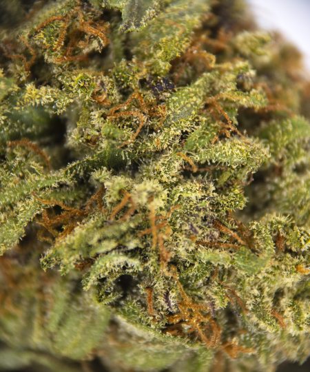 Alternative view of Candy Apple AA