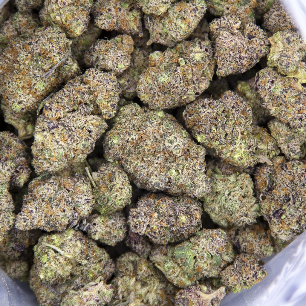 Rocket Chronic