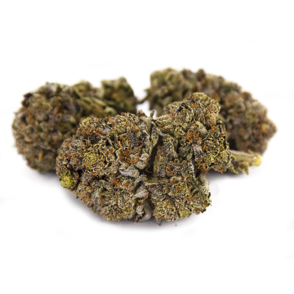 Rocket Chronic