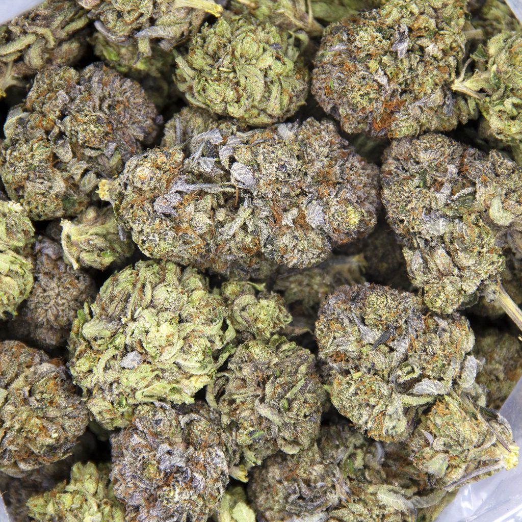 Rocket Chronic