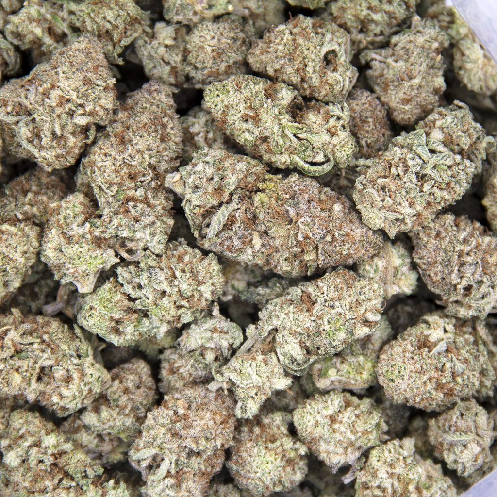 Rocket Chronic