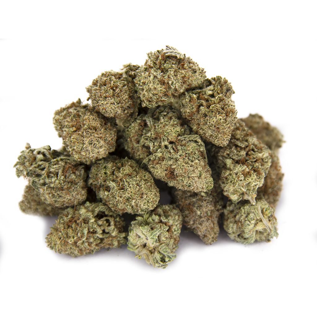 Rocket Chronic