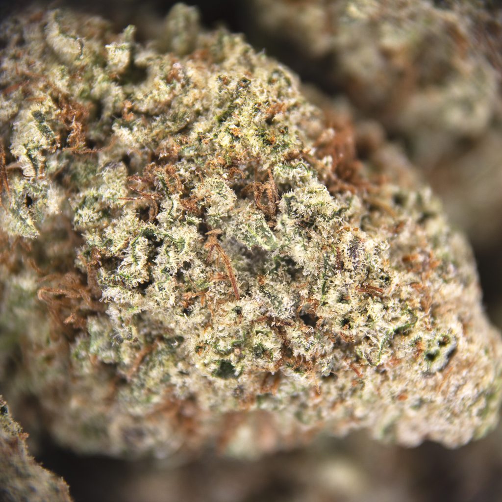 Rocket Chronic