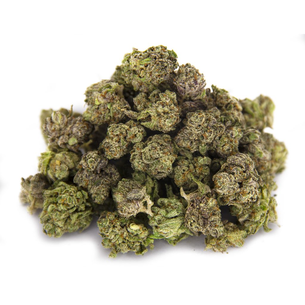 Rocket Chronic