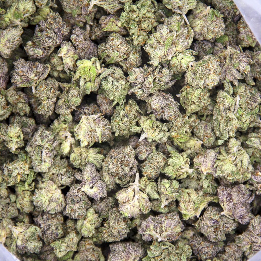 Rocket Chronic