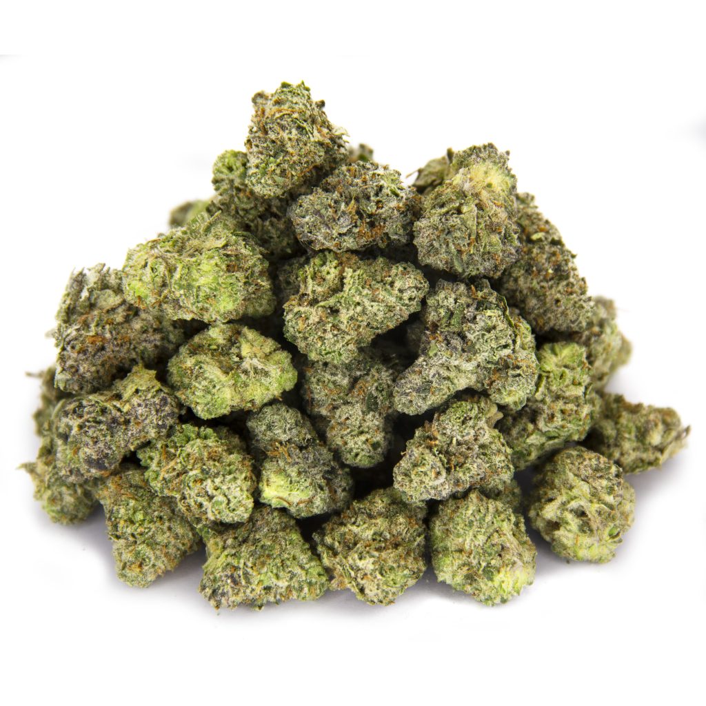 Rocket Chronic