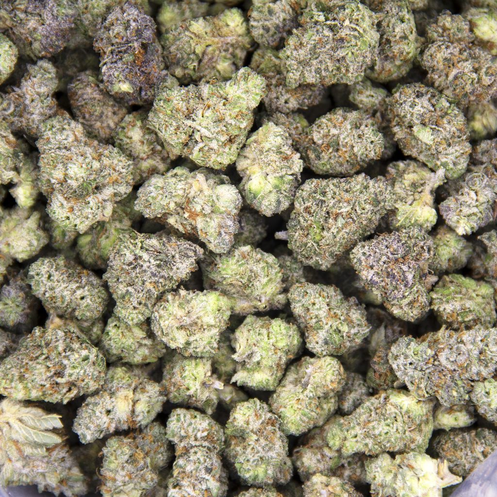 Rocket Chronic