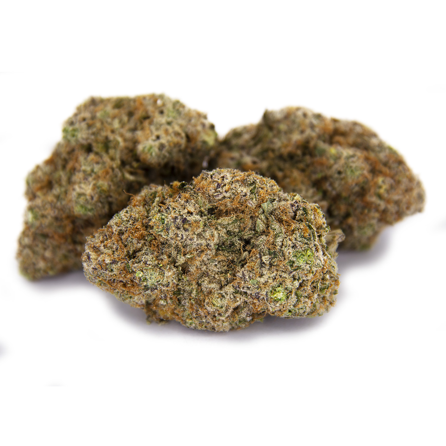Gelato #33 AAA+