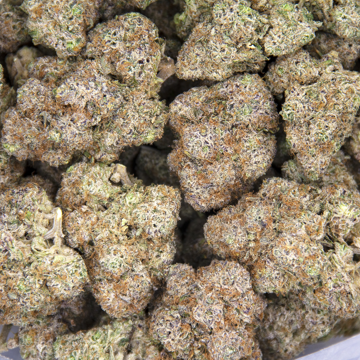 Gelato #33 AAA+ - Image 3