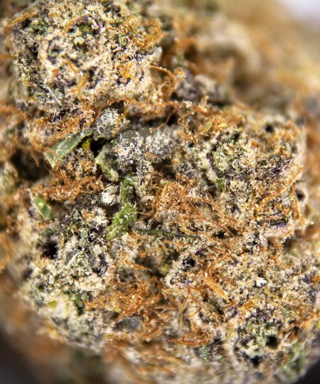 Alternative view of Gelato #33 AAA+