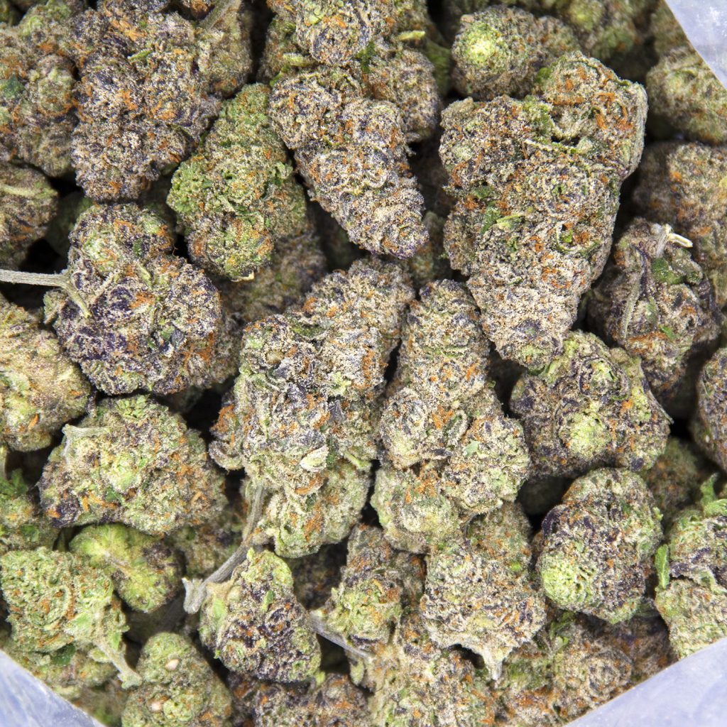Rocket Chronic