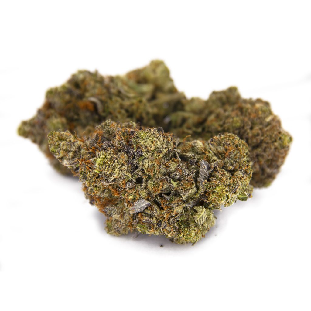 Rocket Chronic