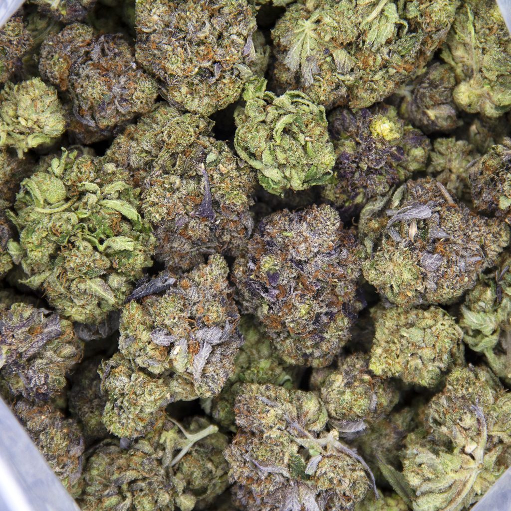 Rocket Chronic