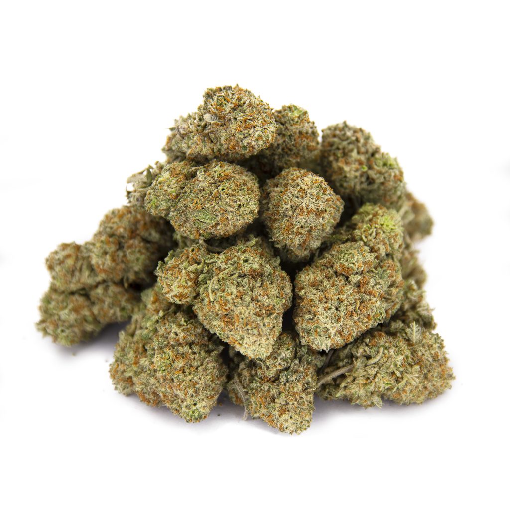 Rocket Chronic
