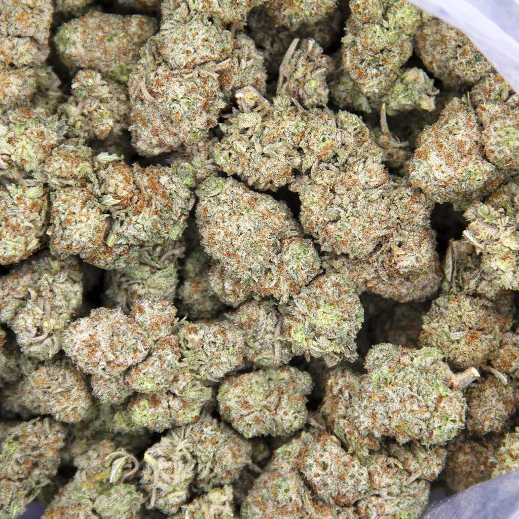 Rocket Chronic