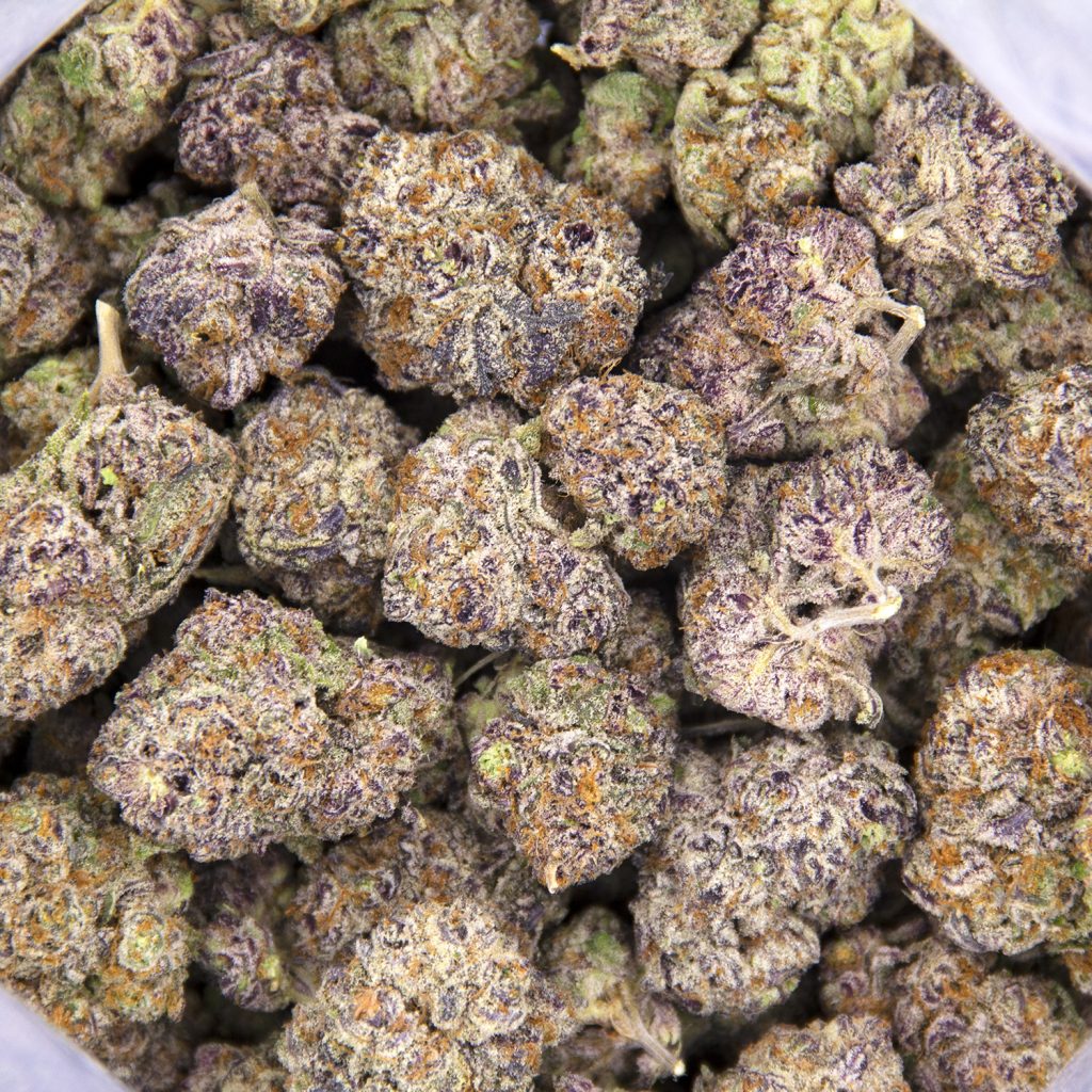 Rocket Chronic