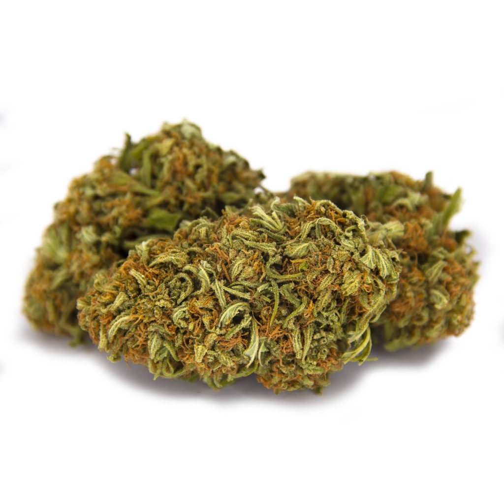 Rocket Chronic
