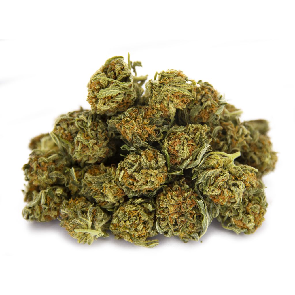 Rocket Chronic