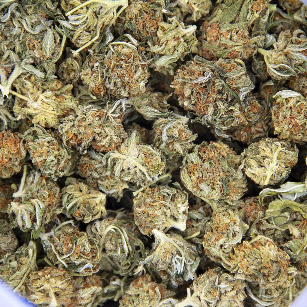 Rocket Chronic