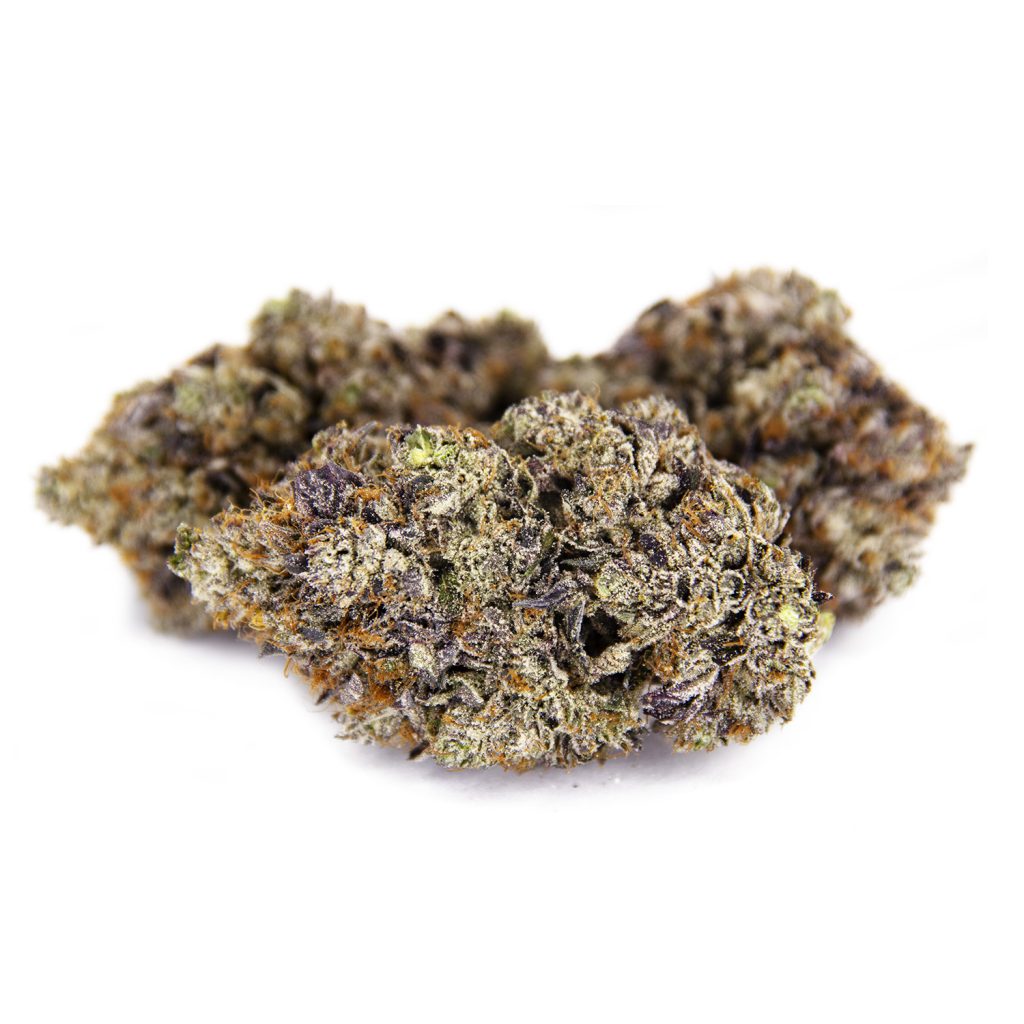 Rocket Chronic