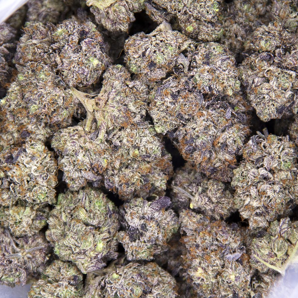 Rocket Chronic