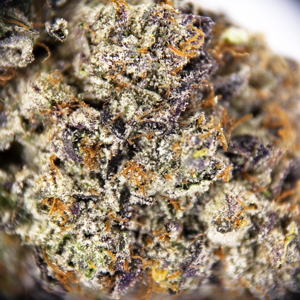 Rocket Chronic
