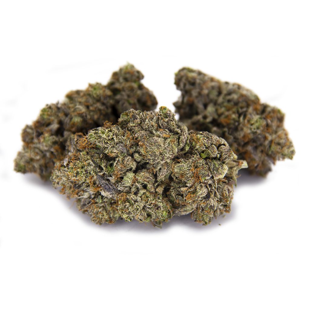 Rocket Chronic