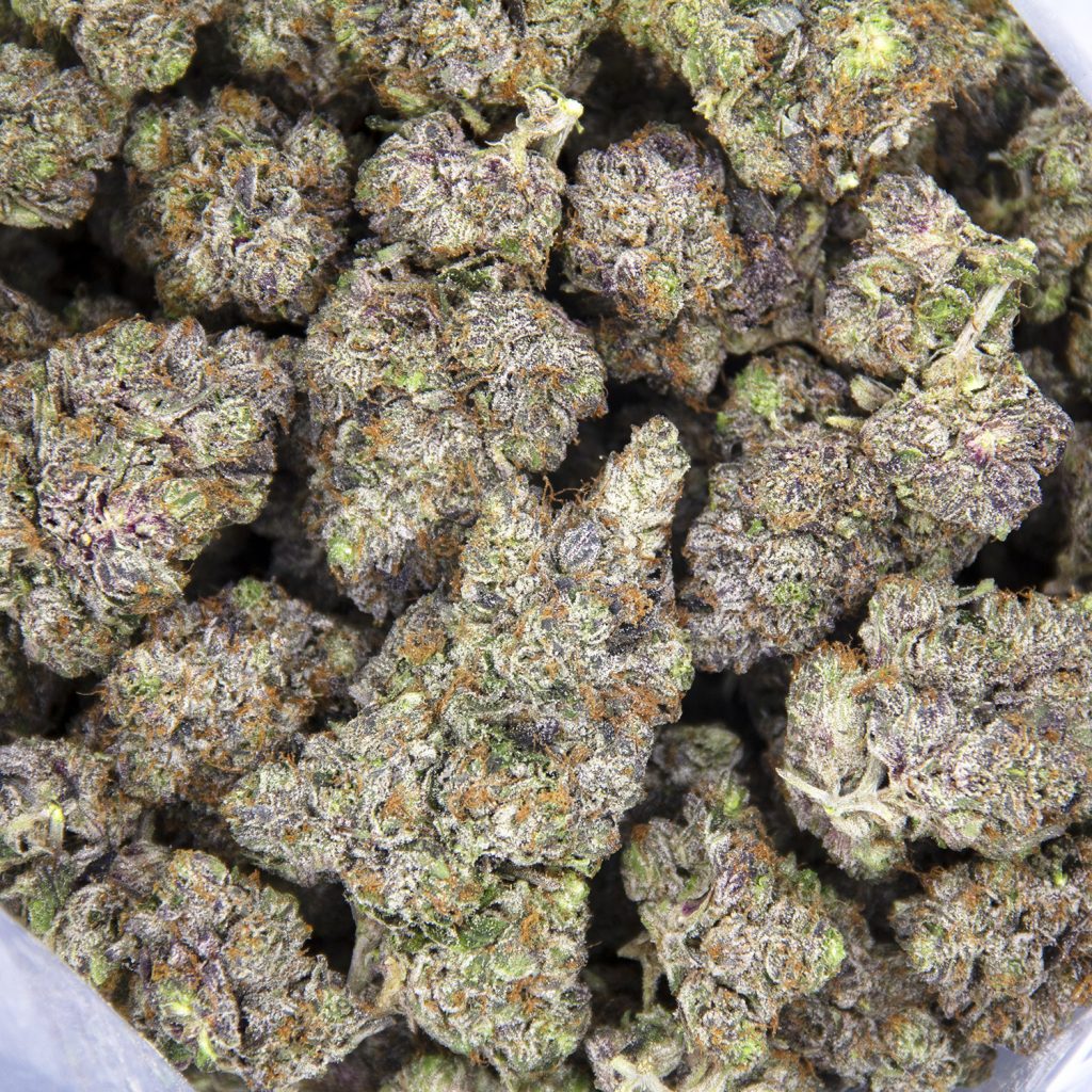 Rocket Chronic
