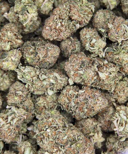 Alternative view of Rockstar Tuna (mediums) AA+