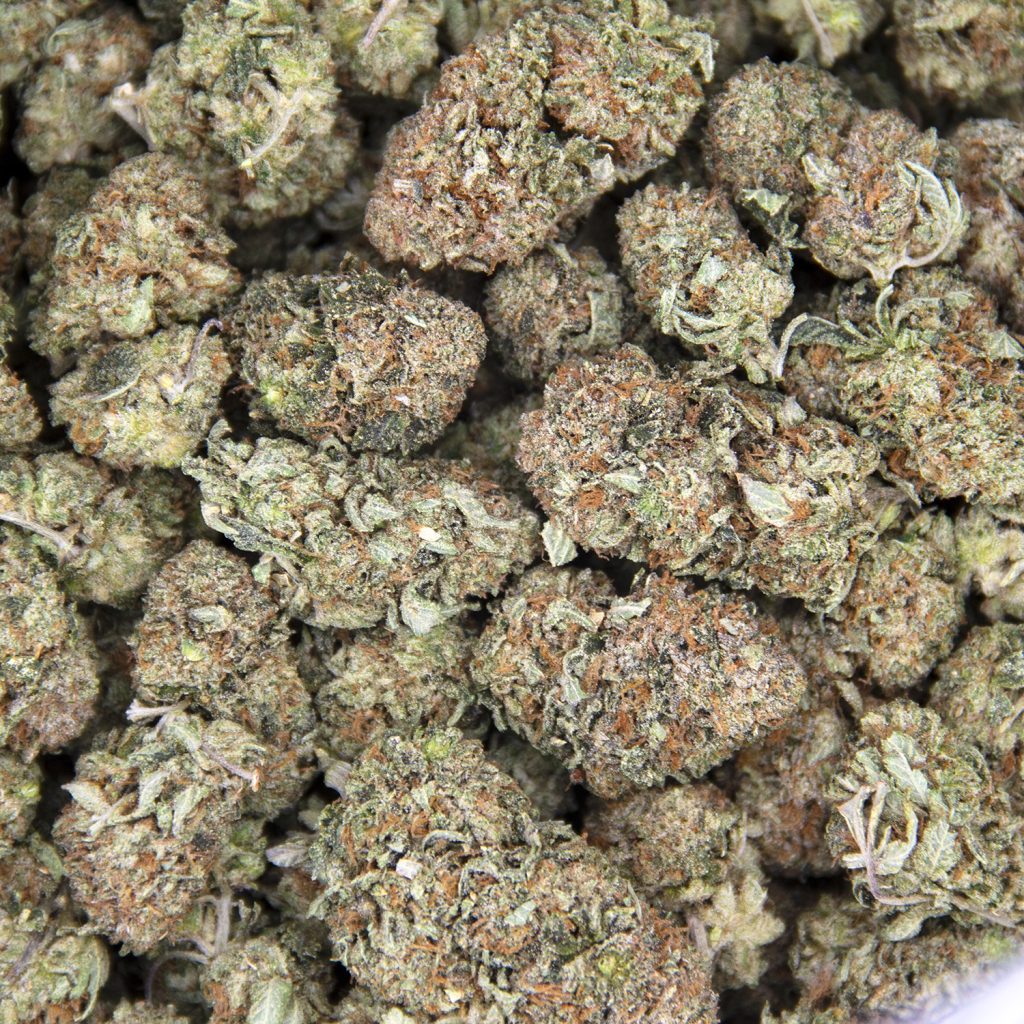 Rocket Chronic