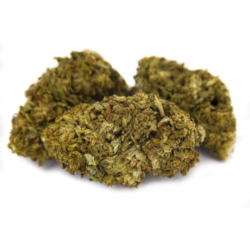 Rocket Chronic