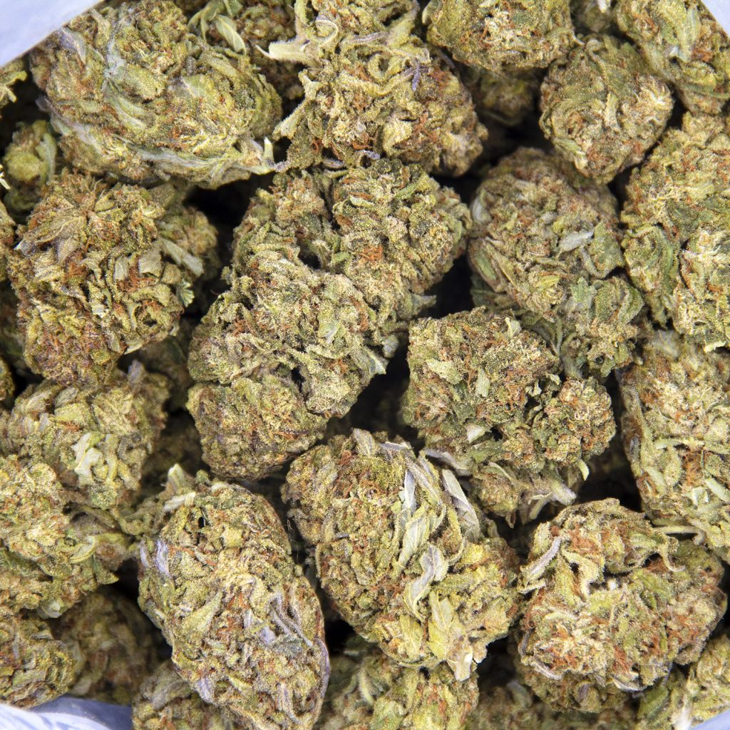 Rocket Chronic