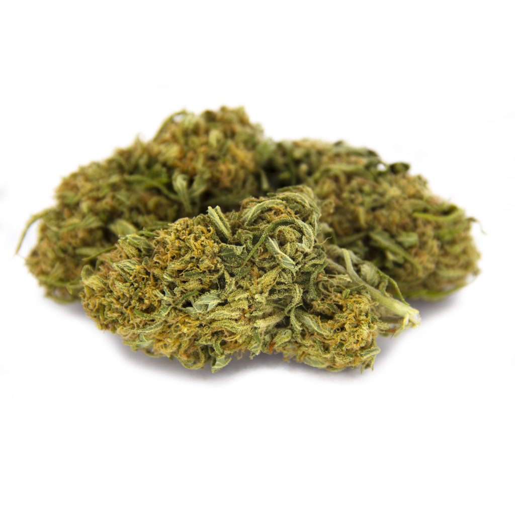Rocket Chronic