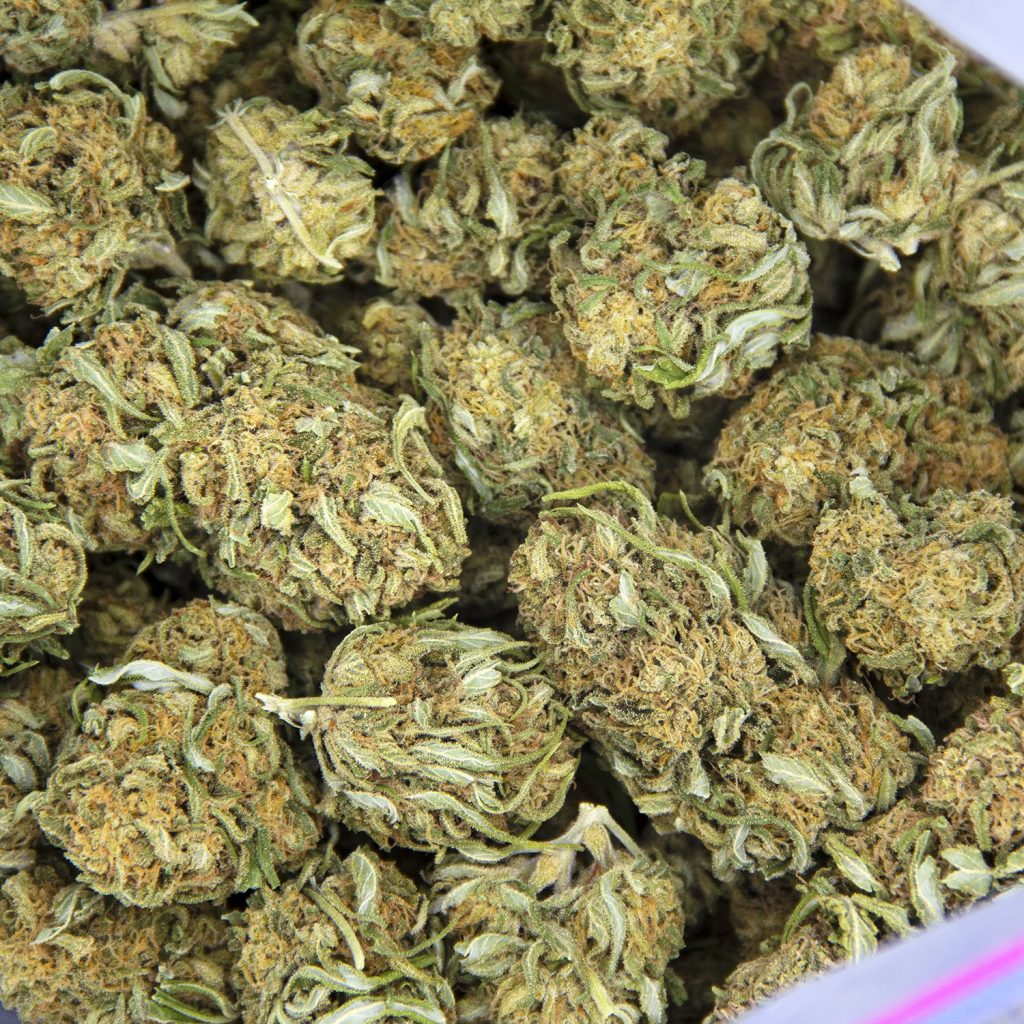 Rocket Chronic