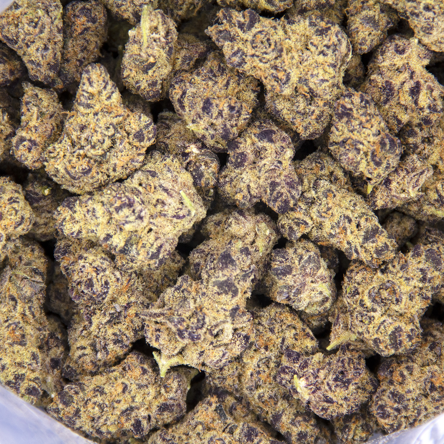 Tangie Dream (mediums) AA+ - Image 3