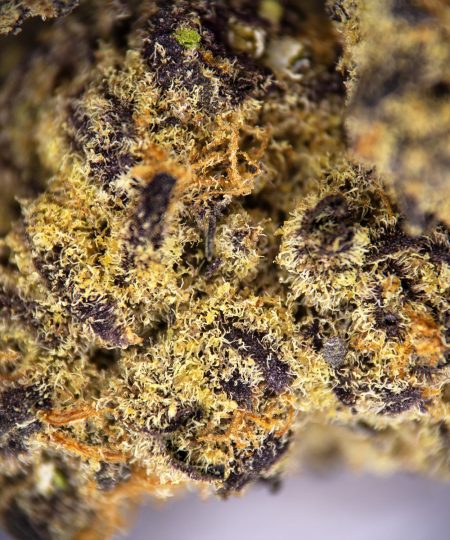 Alternative view of Tangie Dream (mediums) AA+