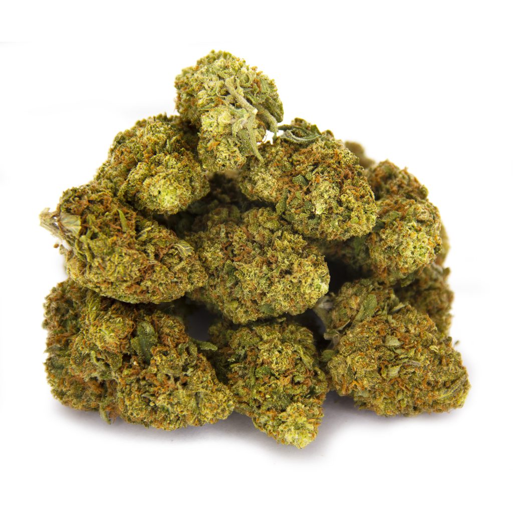 Rocket Chronic