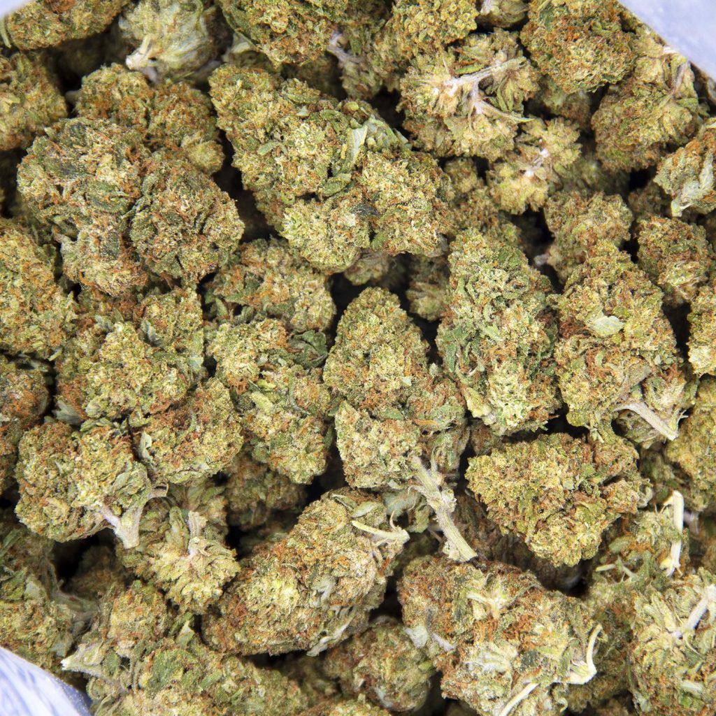 Rocket Chronic