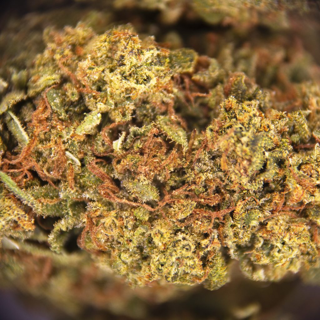 Rocket Chronic