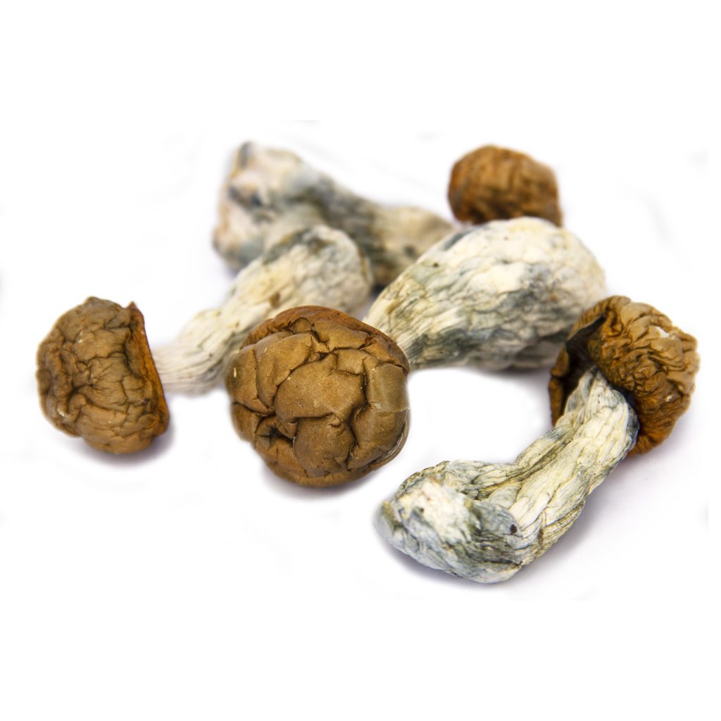 Rocket Chronic