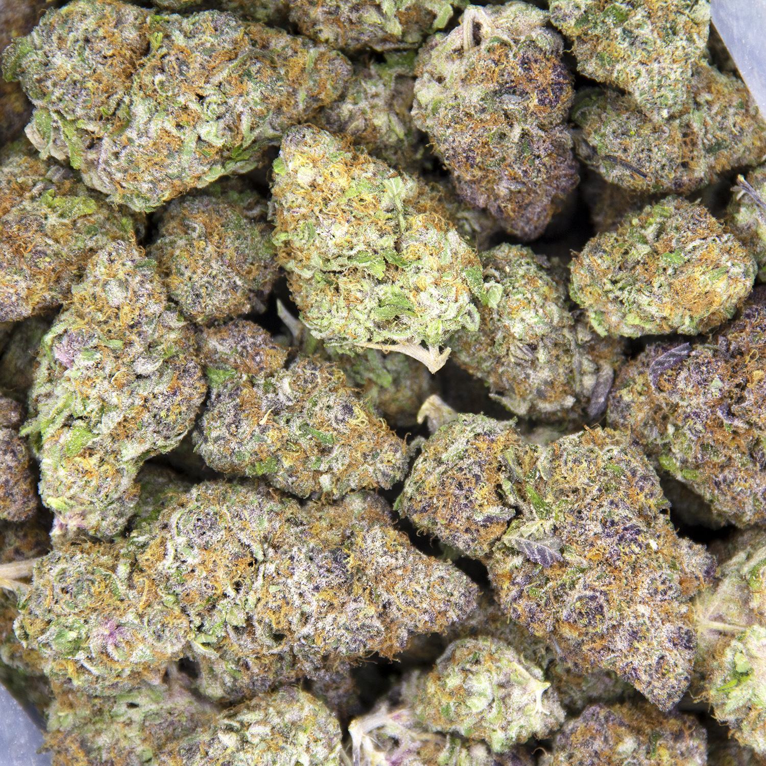 Blue Dream AAA - Image 2