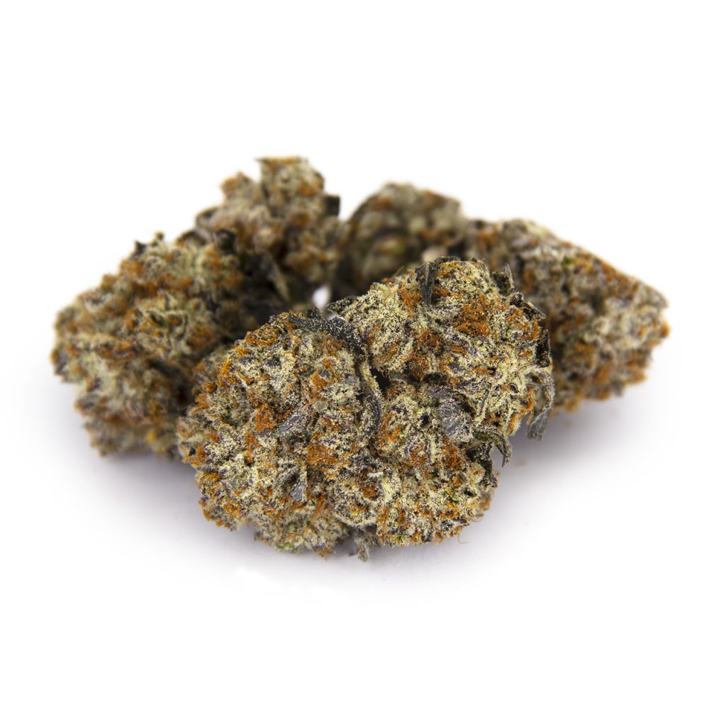 Rocket Chronic