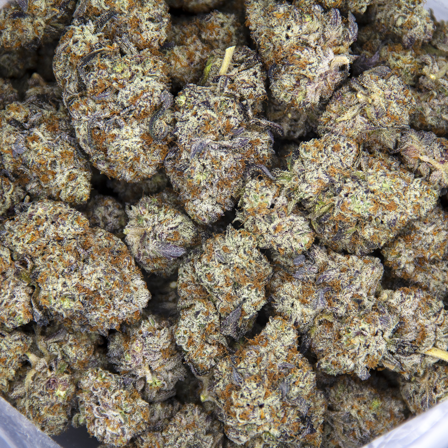 Chocolate Hashberry AAA+ - Image 2