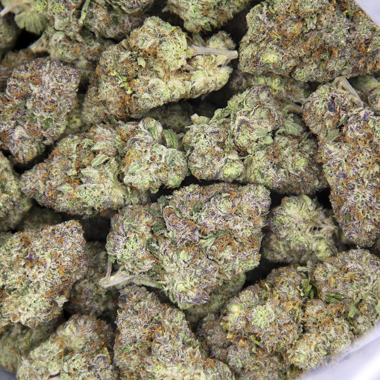Chrome Dome AAA - Image 3