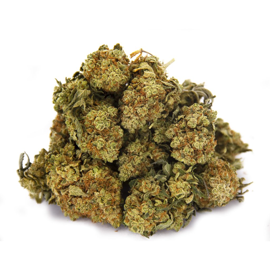Rocket Chronic