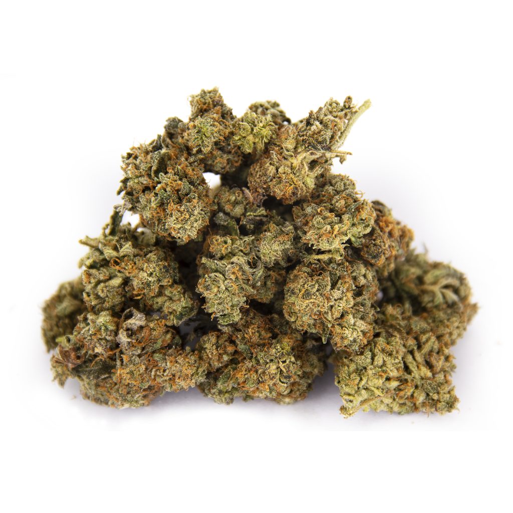 Rocket Chronic