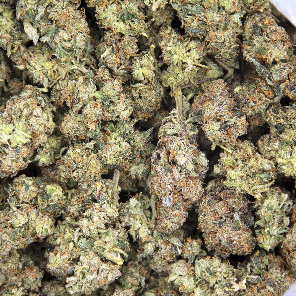 Rocket Chronic