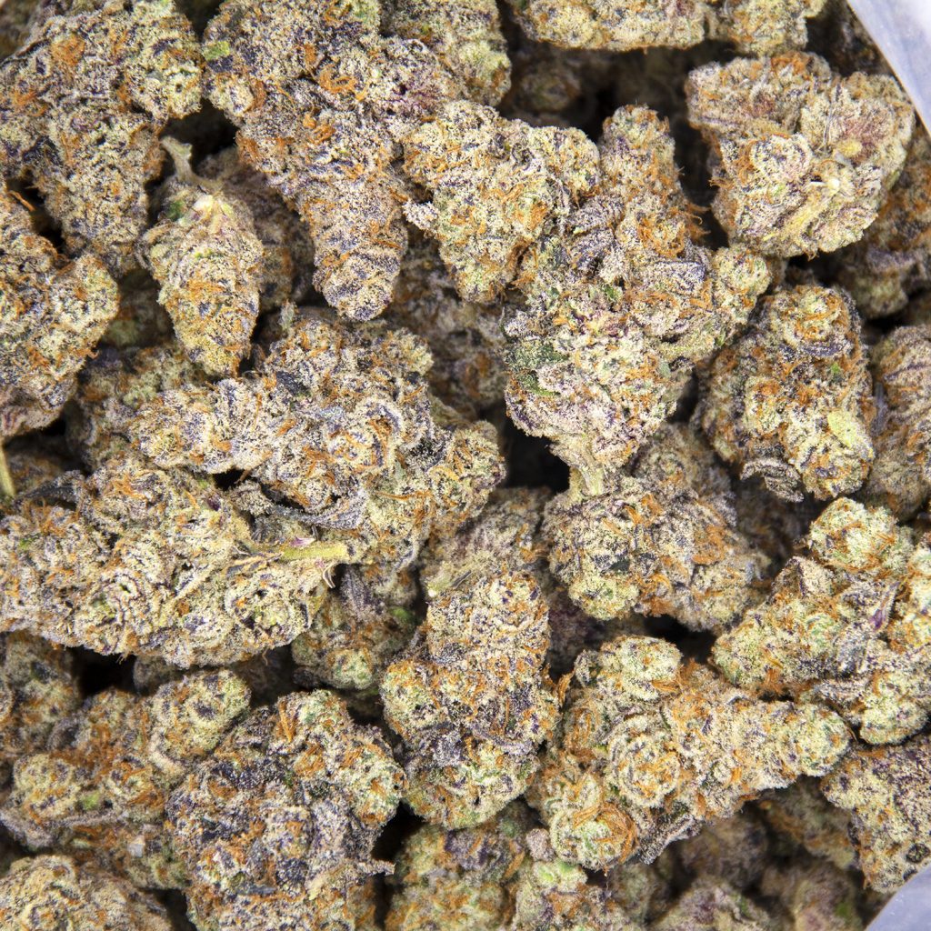 Rocket Chronic
