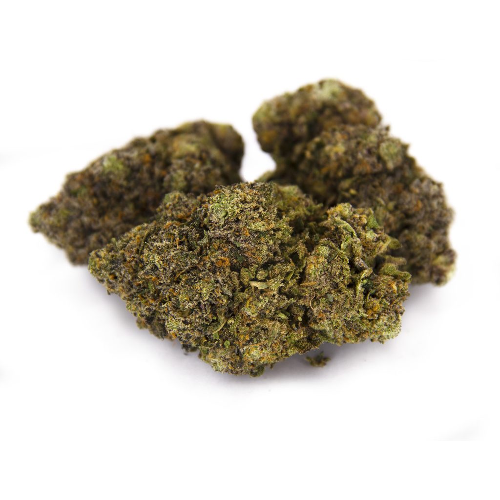 Rocket Chronic