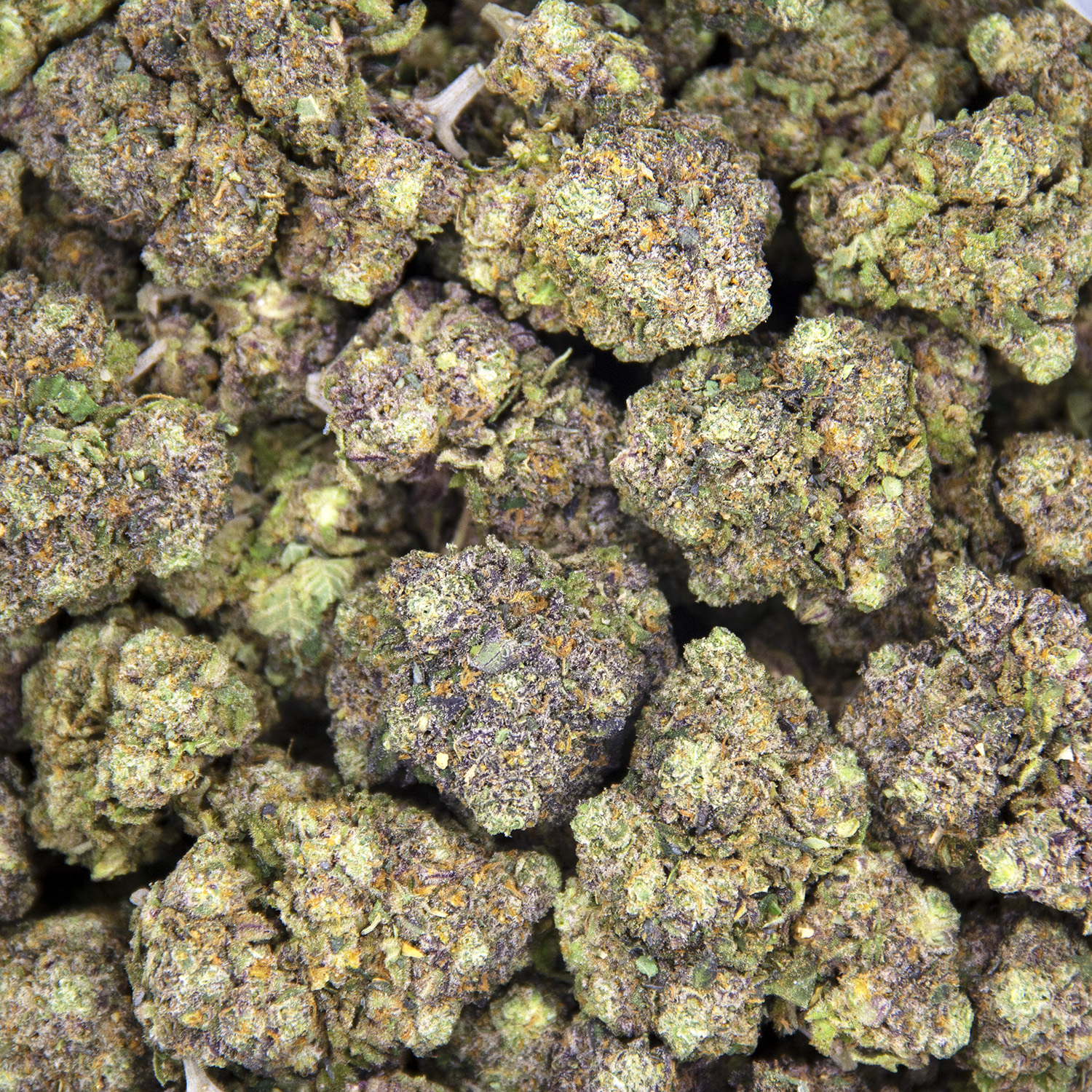 Fruit Punch AAA - Image 3